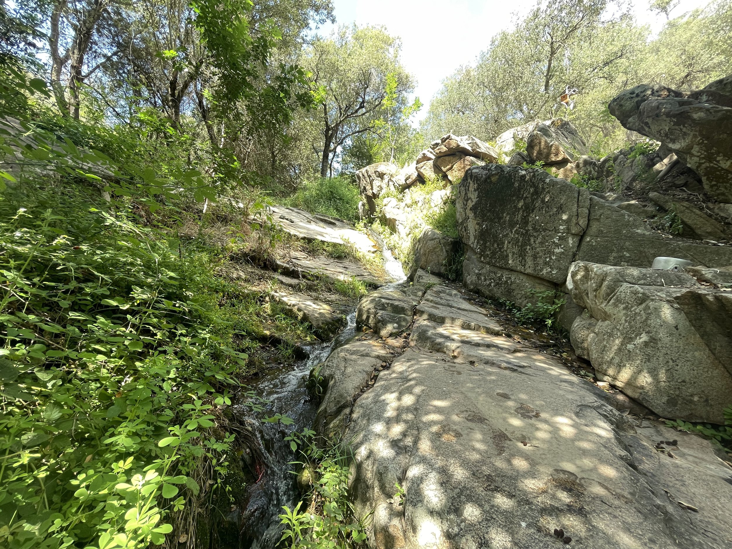 The site